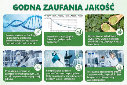 DOTALE® Metabolic Nano Microneedle Patch 🇺🇸 (Tylko raz dziennie, widoczne zmiany po 7 dniach)