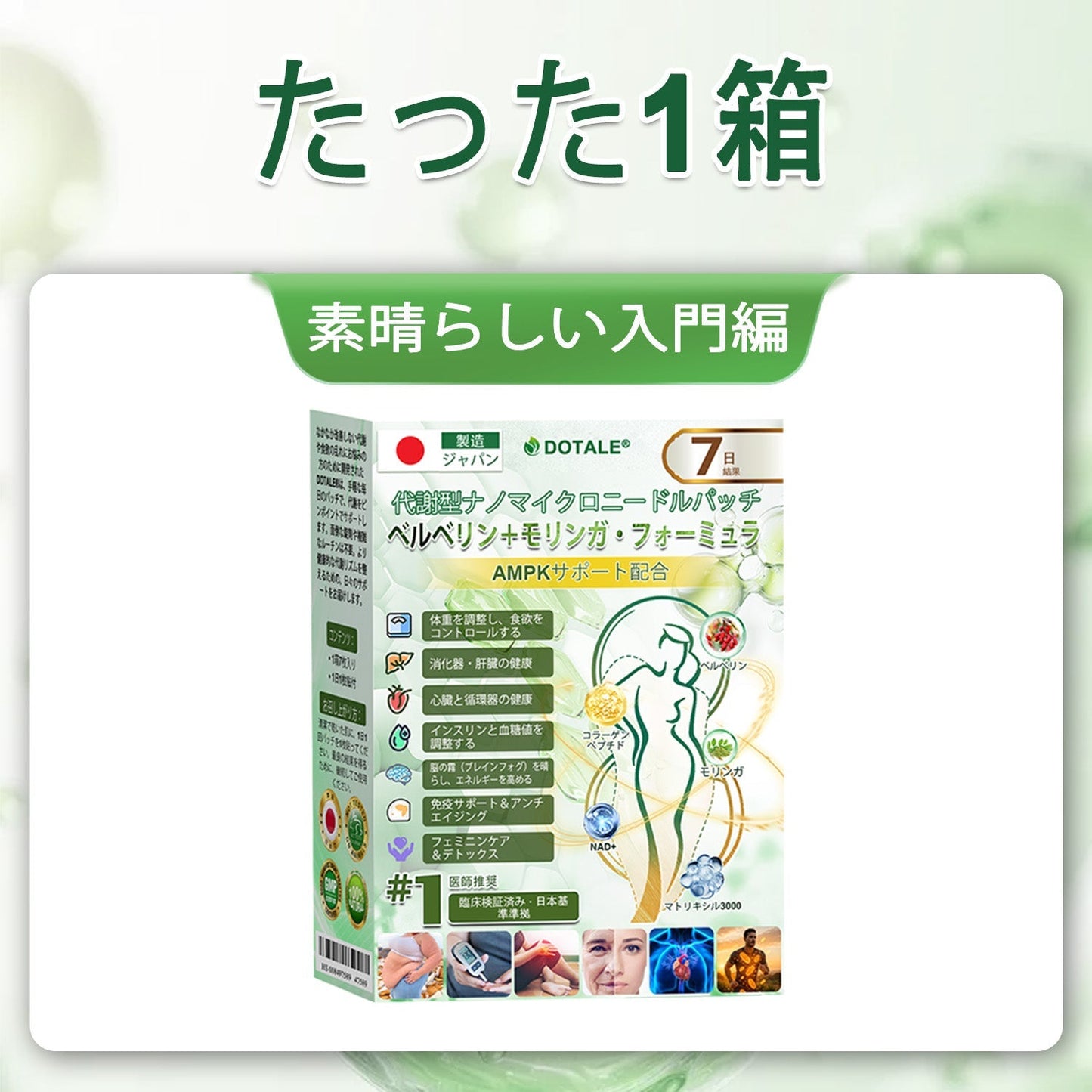 内臓脂肪対策サポート 👨‍⚕️👩‍⚕️DOTALE®＆NAD+ 8-in-1 ナノ強化フォーミュラ — 肥満、肌のたるみ、糖尿病、睡眠時無呼吸症候群、関節の悩み、その他健康上の懸念にアプローチ🛍️